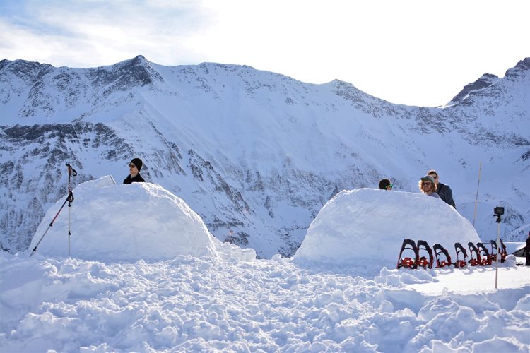 Iglu Workshop