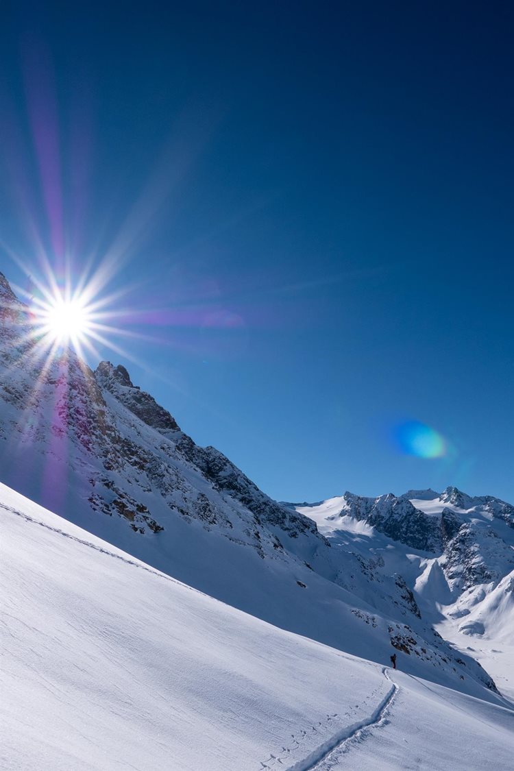 Winterprogramm Online